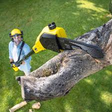 Best Lot and Land Clearing  in Knightsen, CA